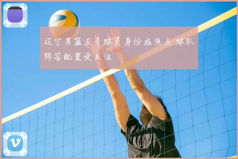 辽宁男篮五号球员身份成焦点 球队阵容配置受关注